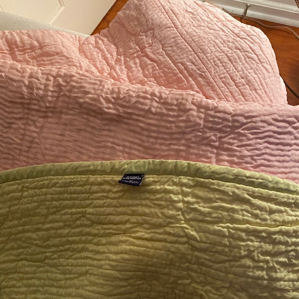 Daniel Cremieux Cream Silk Twin Comforter in pink and green